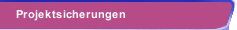 Projektsicherungen